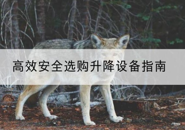 寿县升降货梯厂家推荐-*安全选购升降设备指南