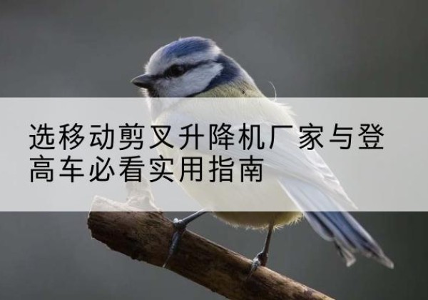 寿县电动升降机厂家-选移动剪叉升降机厂家与登高车必看实用指南