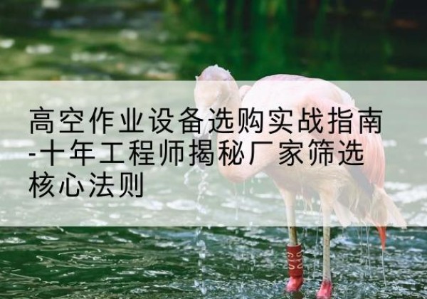 寿县剪叉式升降机厂家-高空作业设备选购实战指南-十年工程师揭秘厂家筛选核心法则